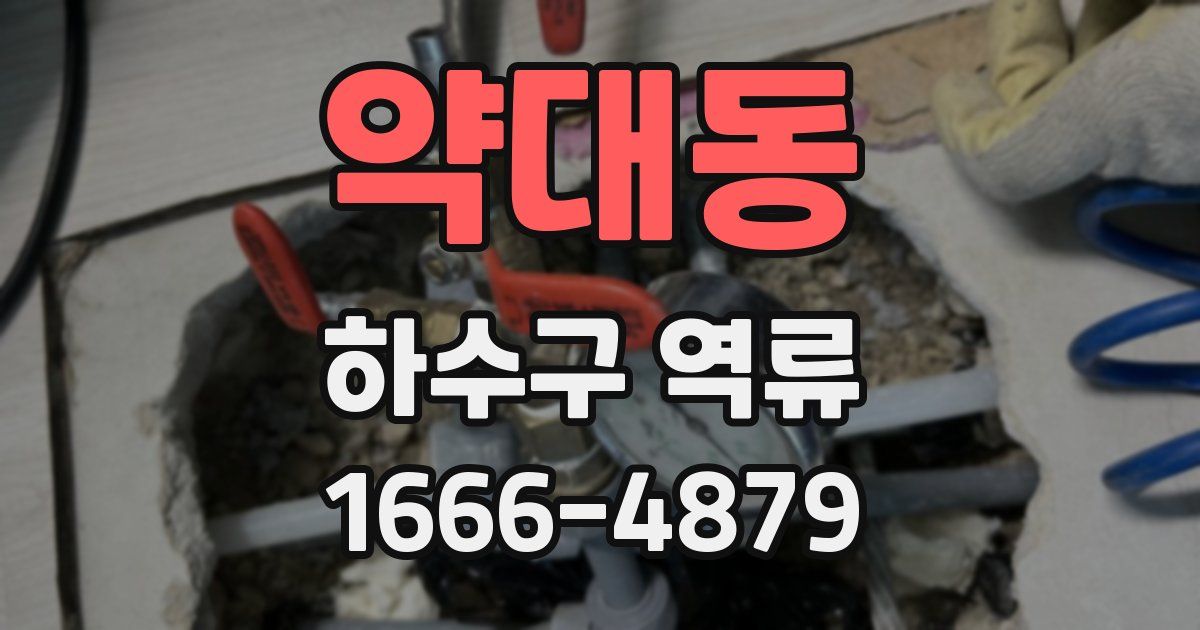 약대동 하수구 역류