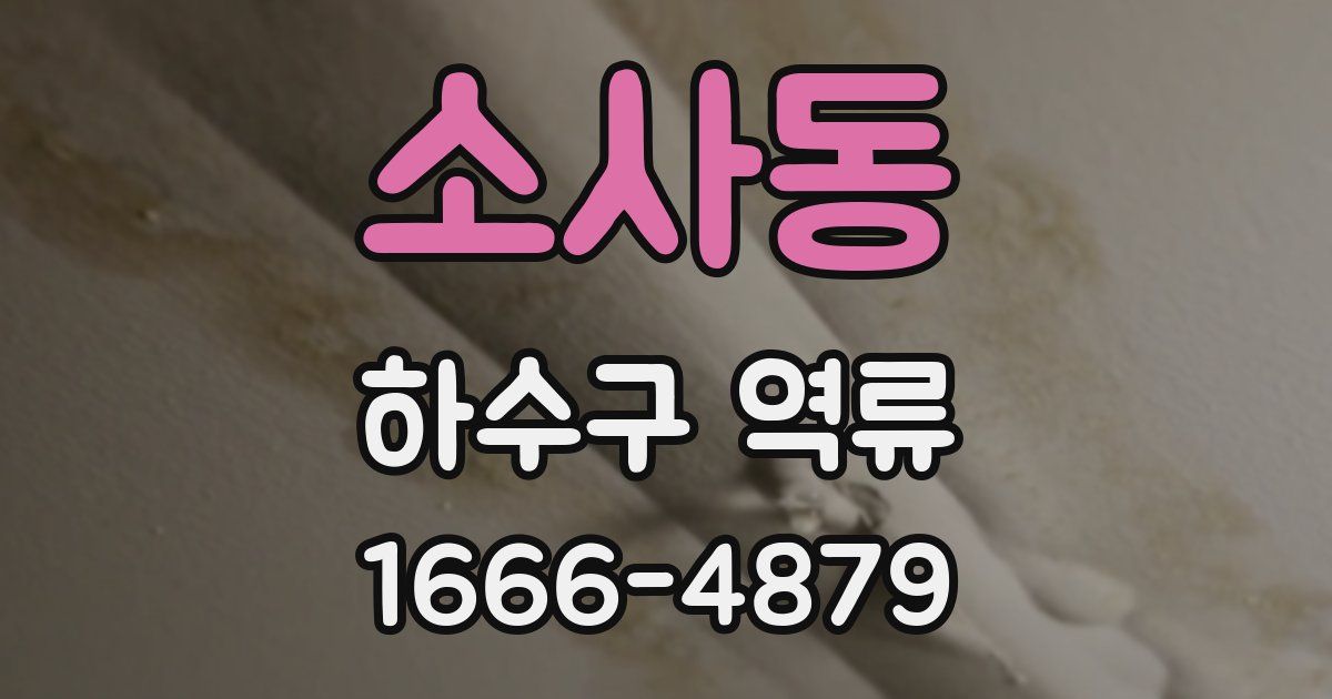 소사동 하수구 역류