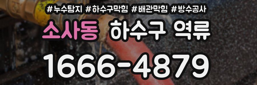 소사동 하수구 역류