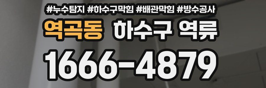역곡동 하수구 역류