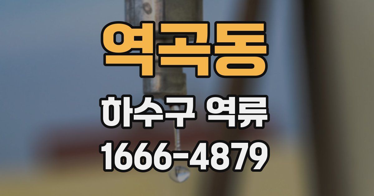 역곡동 하수구 역류