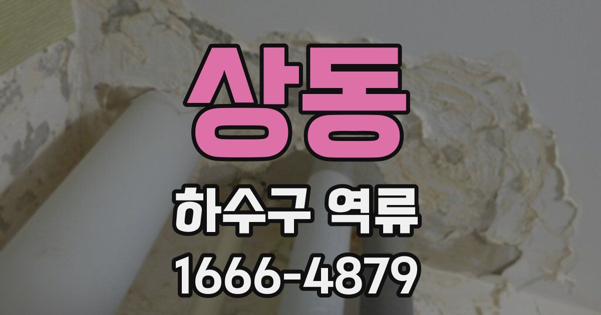 상동 하수구 역류