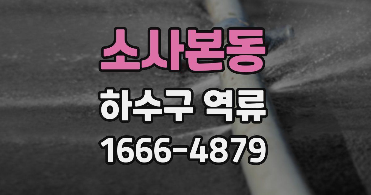 소사본동 하수구 역류