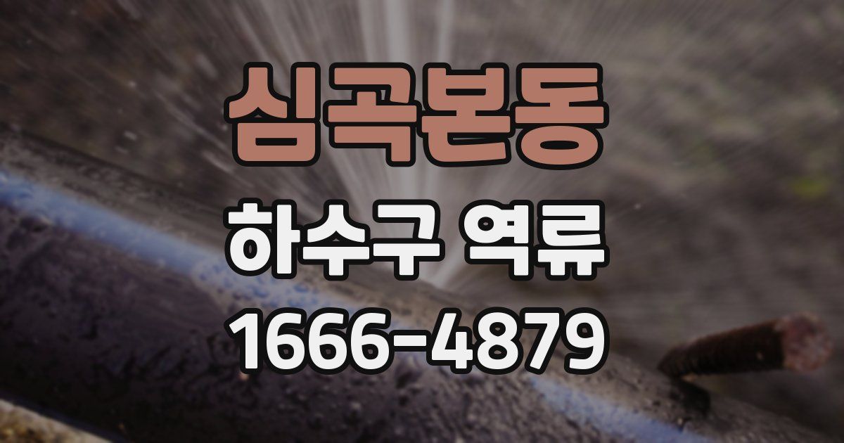 심곡본동 하수구 역류