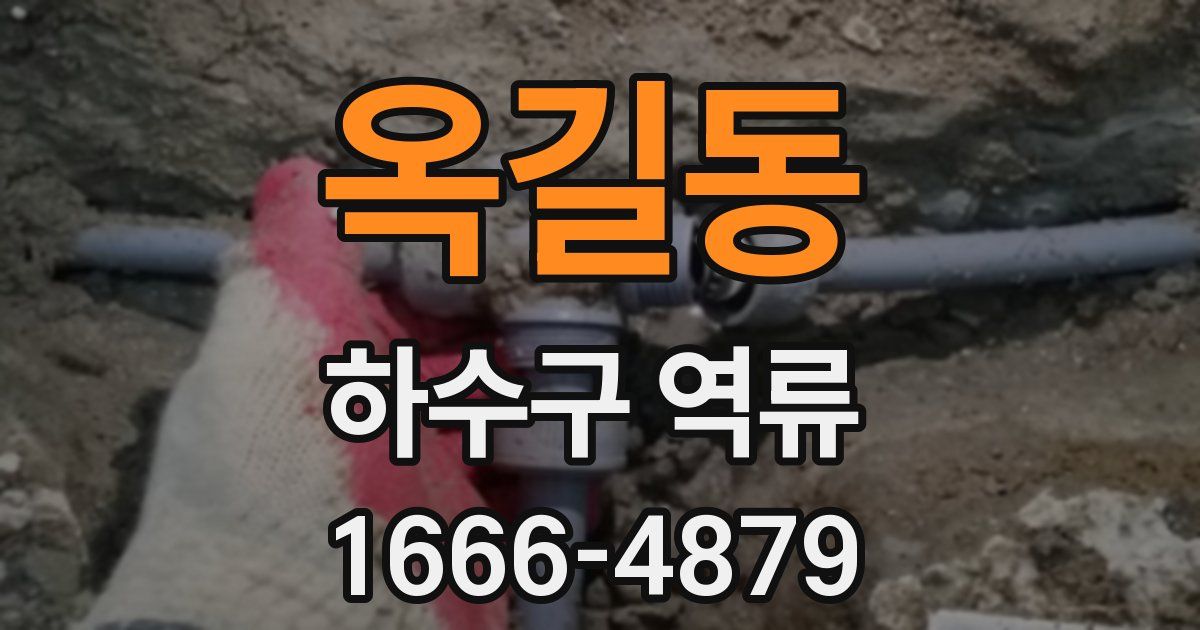 옥길동 하수구 역류