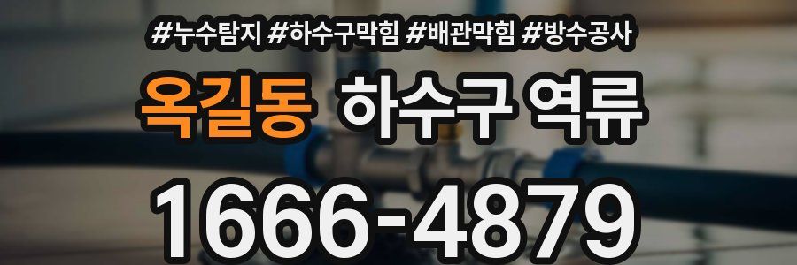 옥길동 하수구 역류