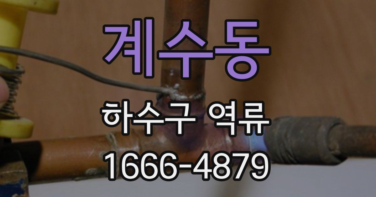 계수동 하수구 역류