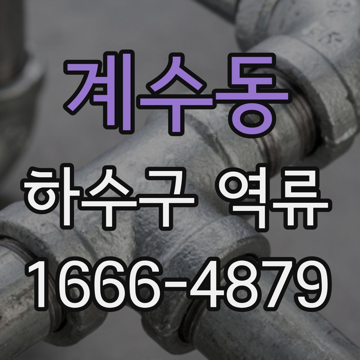 계수동 하수구 역류