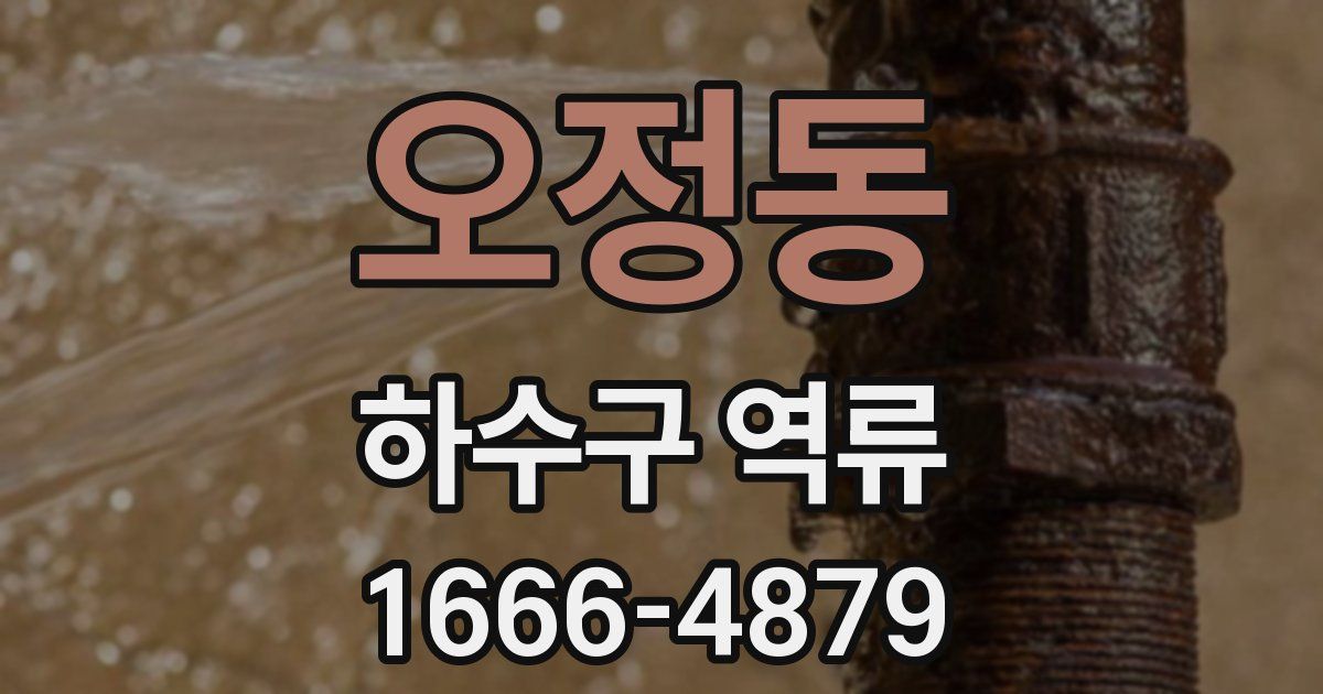 오정동 하수구 역류