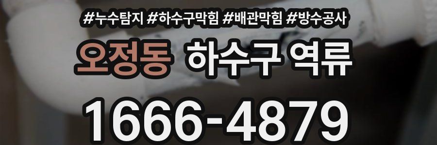 오정동 하수구 역류