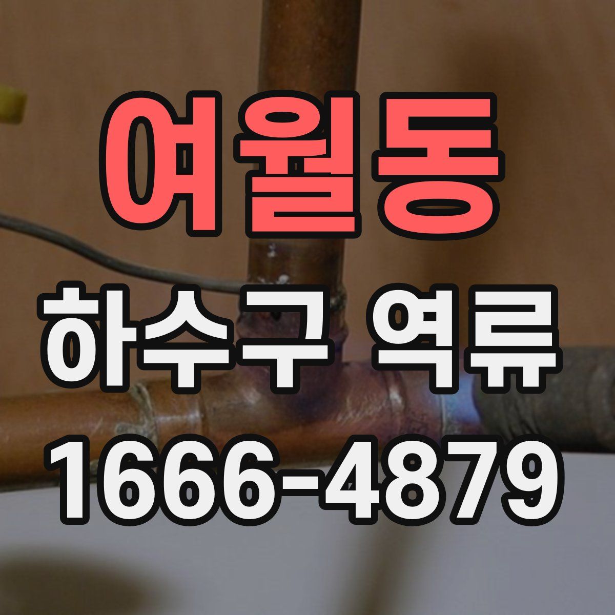 여월동 하수구 역류