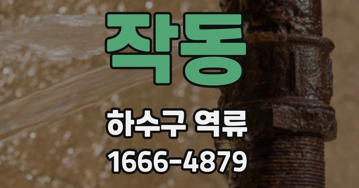 작동 하수구 역류