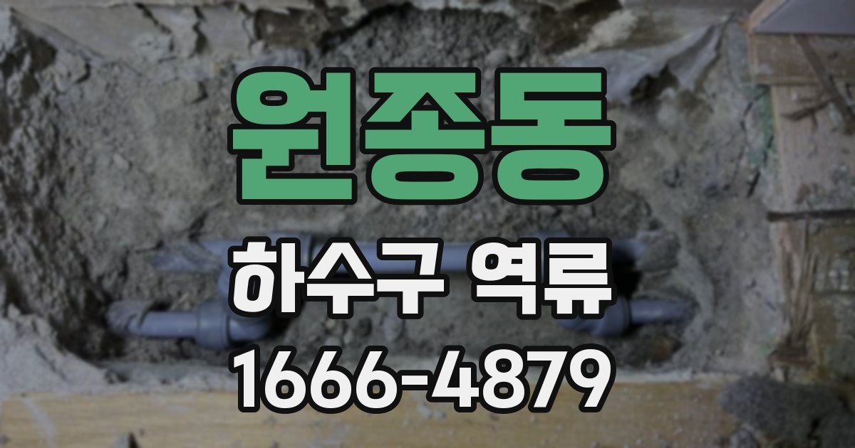 원종동 하수구 역류