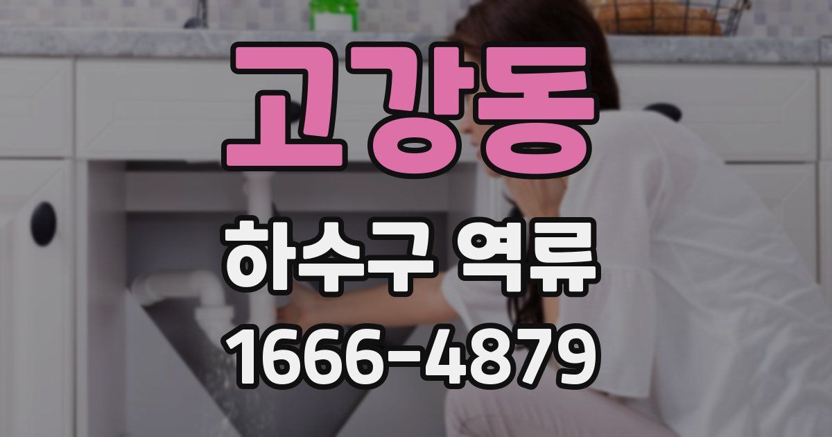 고강동 하수구 역류
