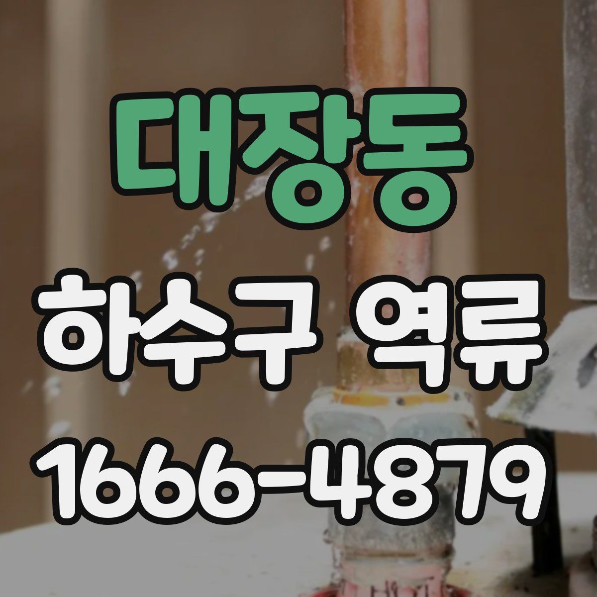 대장동 하수구 역류