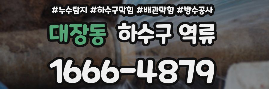 대장동 하수구 역류
