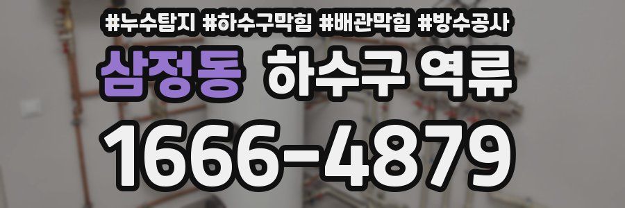 삼정동 하수구 역류
