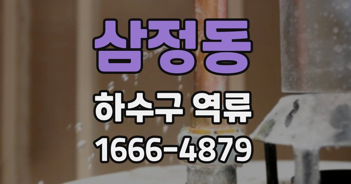 삼정동 하수구 역류