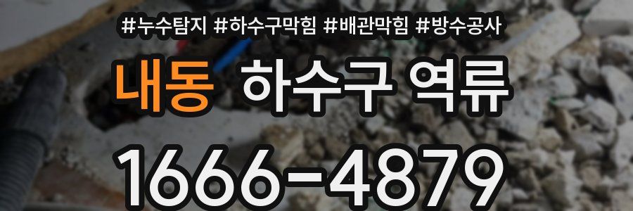 내동 하수구 역류