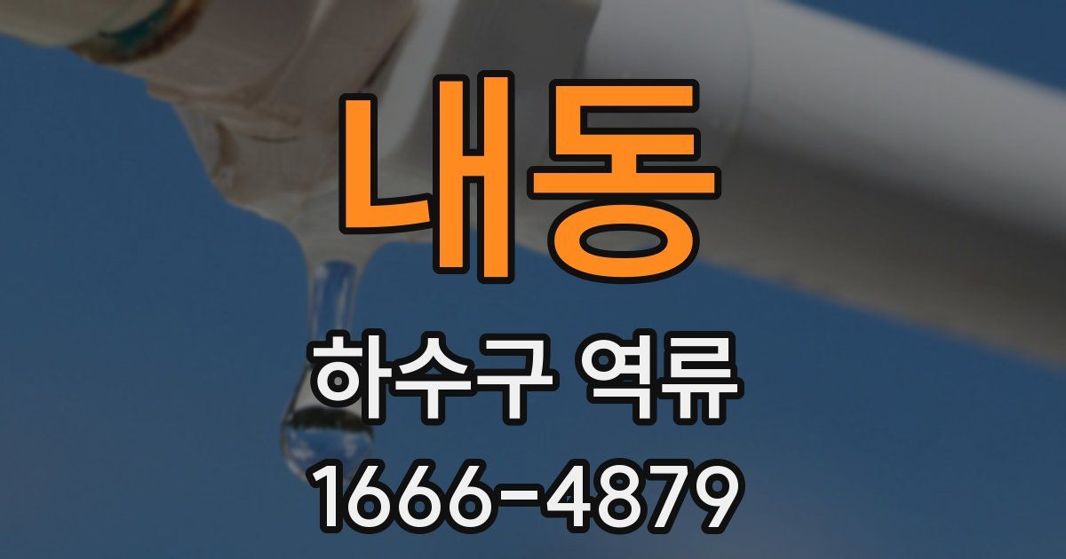 내동 하수구 역류