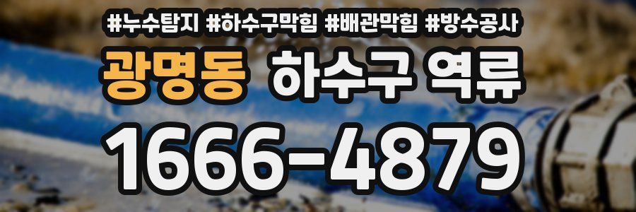 광명동 하수구 역류