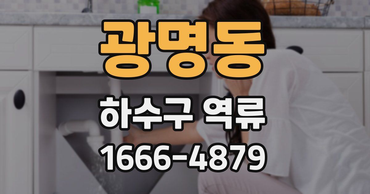 광명동 하수구 역류