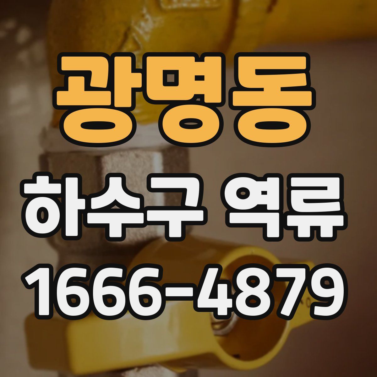 광명동 하수구 역류
