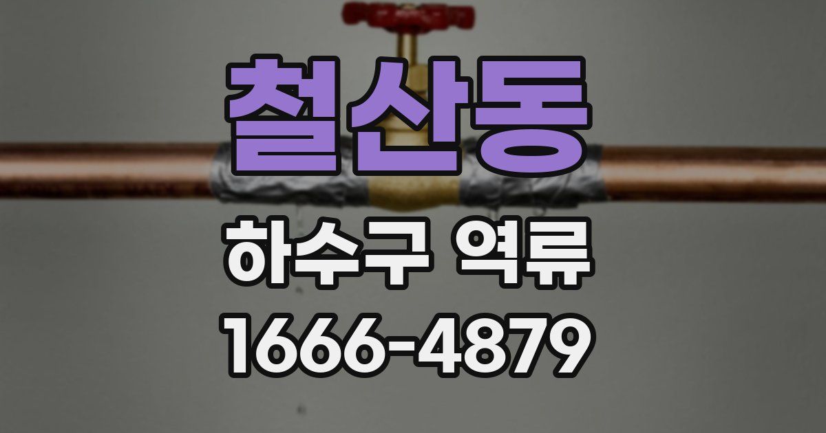 철산동 하수구 역류