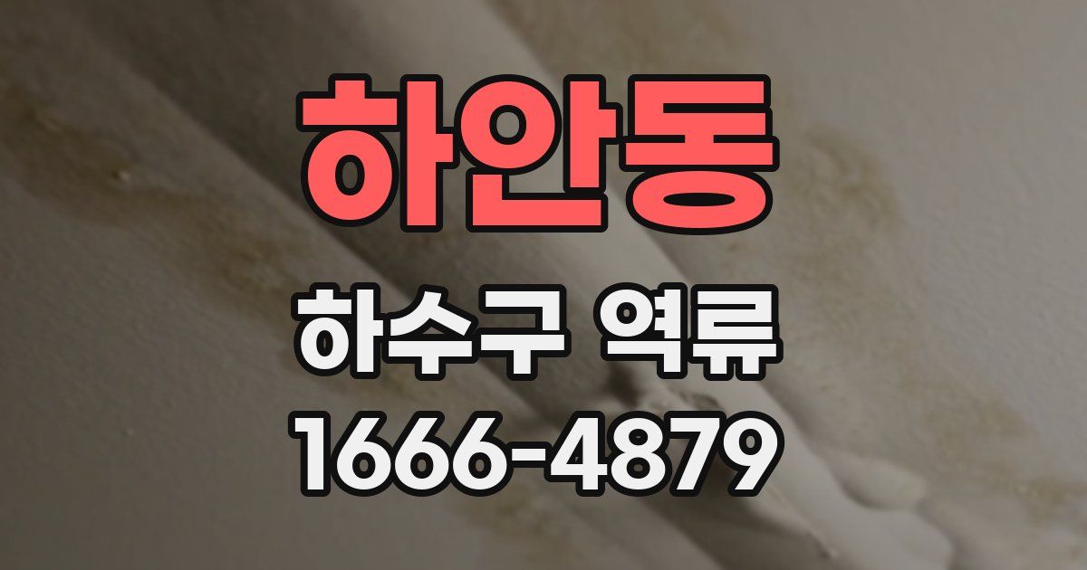 하안동 하수구 역류
