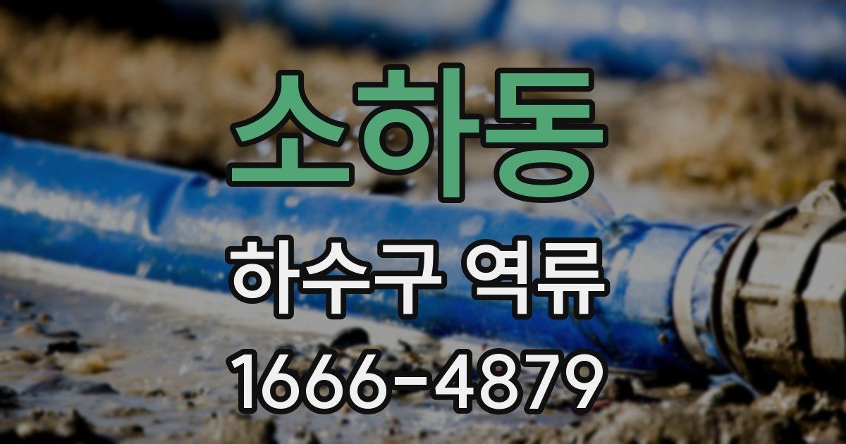 소하동 하수구 역류