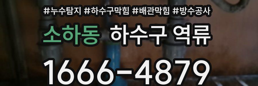 소하동 하수구 역류