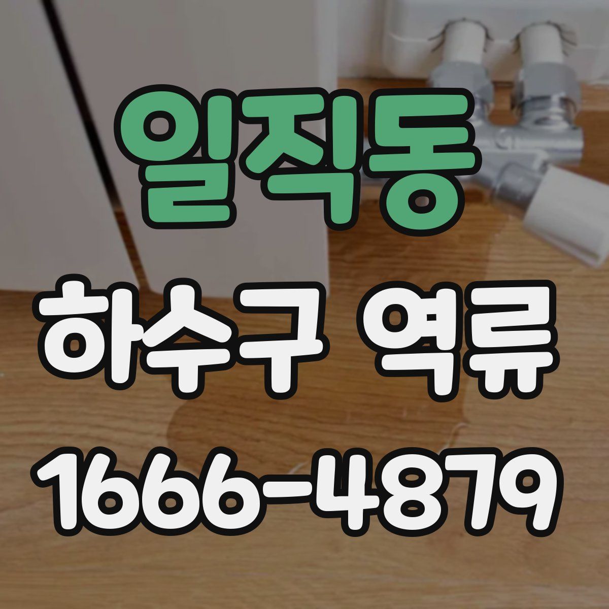 일직동 하수구 역류