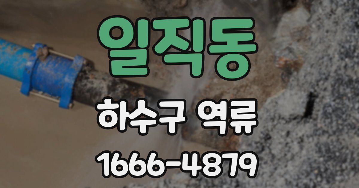 일직동 하수구 역류
