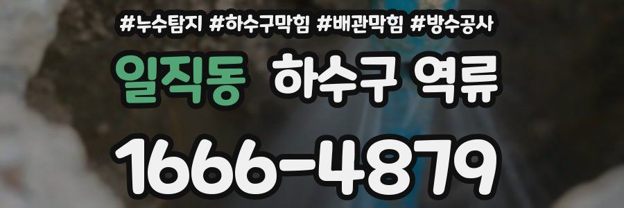 일직동 하수구 역류