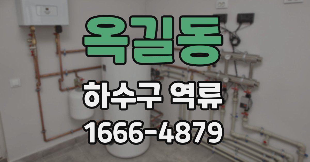 옥길동 하수구 역류