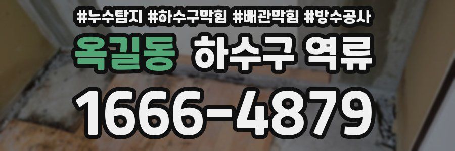 옥길동 하수구 역류