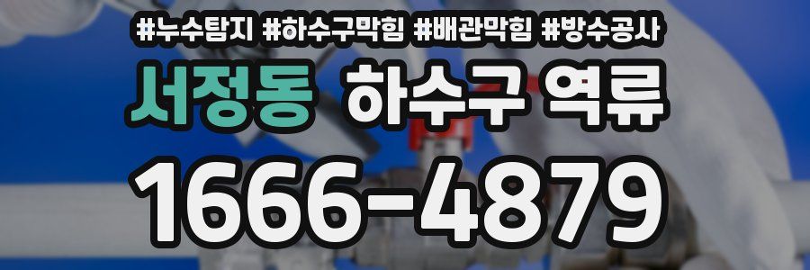 서정동 하수구 역류