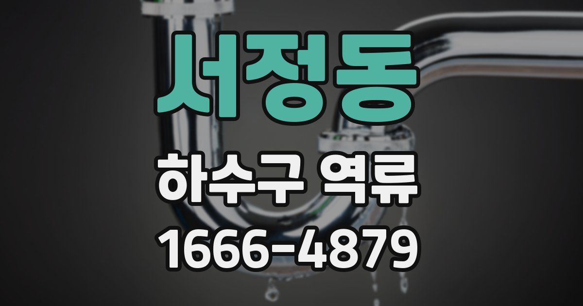 서정동 하수구 역류