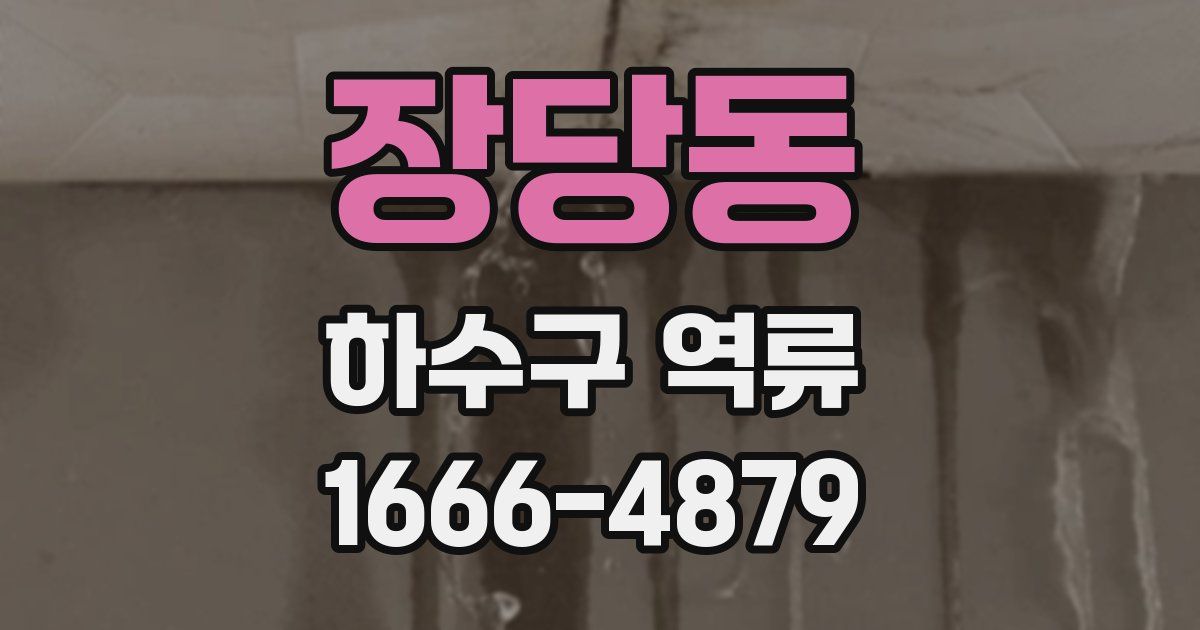장당동 하수구 역류