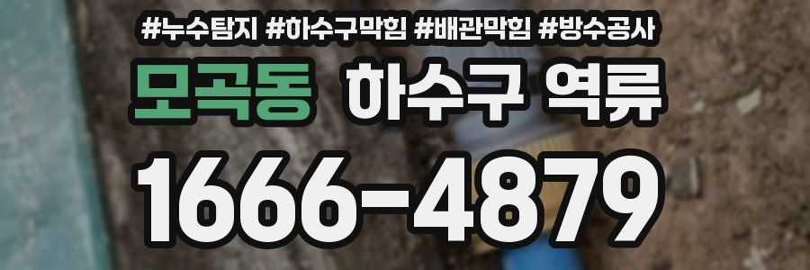 모곡동 하수구 역류