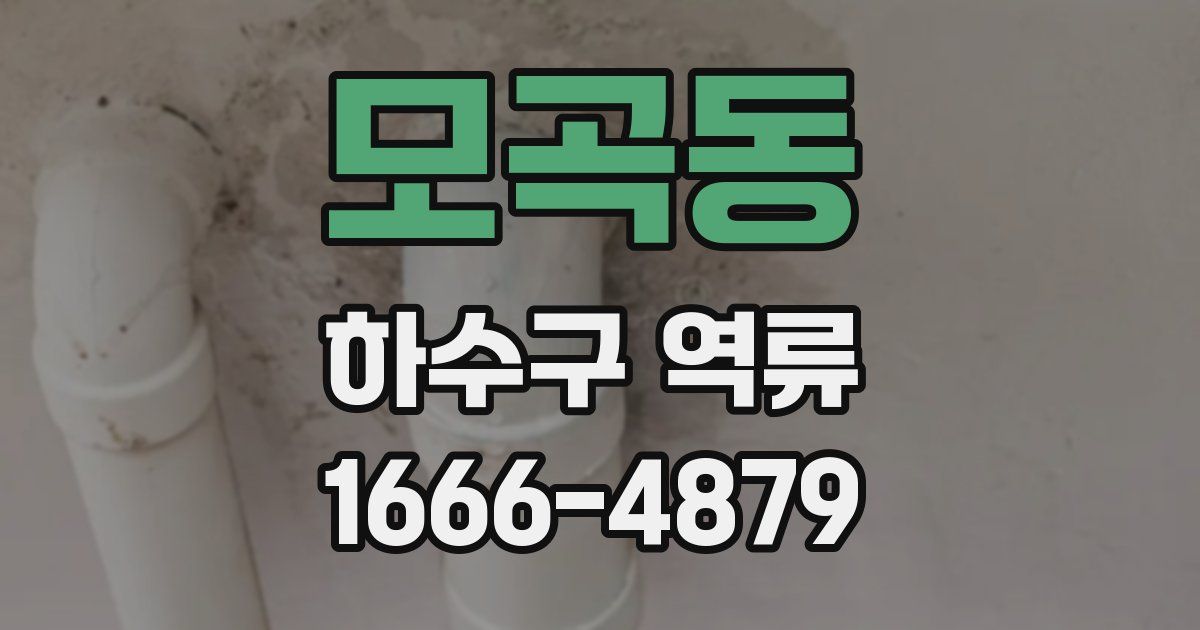 모곡동 하수구 역류