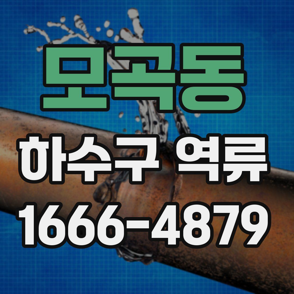 모곡동 하수구 역류