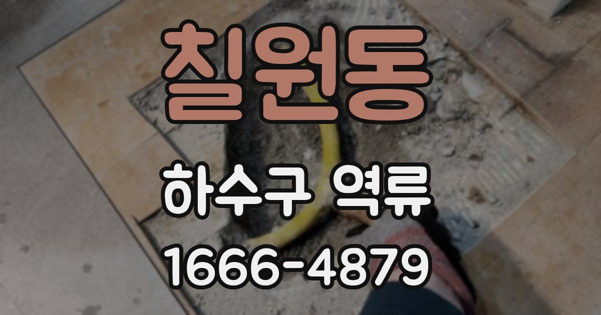 칠원동 하수구 역류