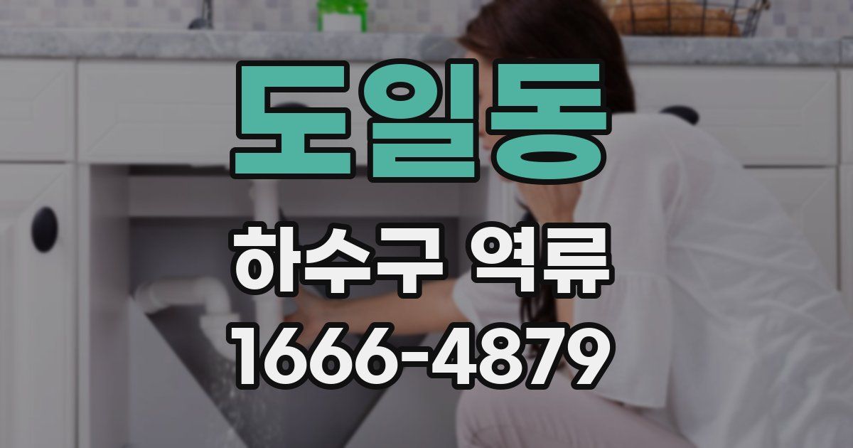 도일동 하수구 역류