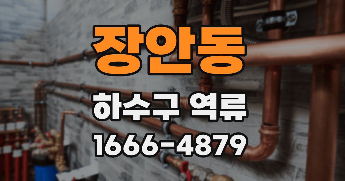 장안동 하수구 역류