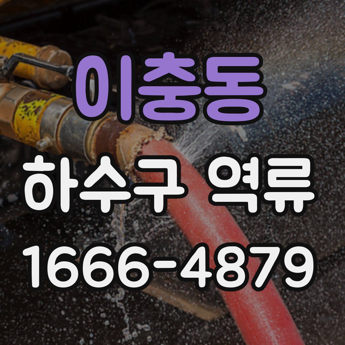 이충동 하수구 역류