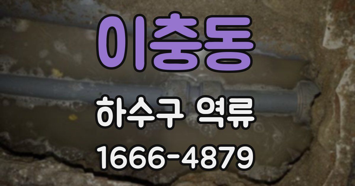 이충동 하수구 역류