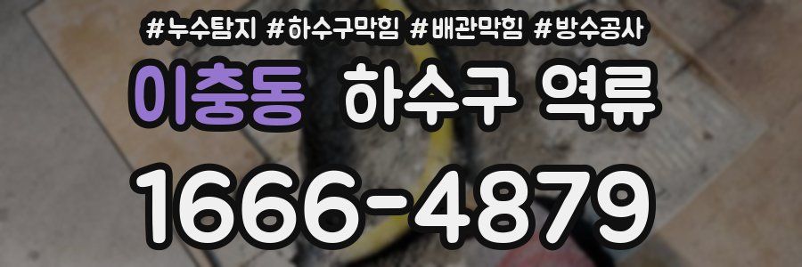이충동 하수구 역류