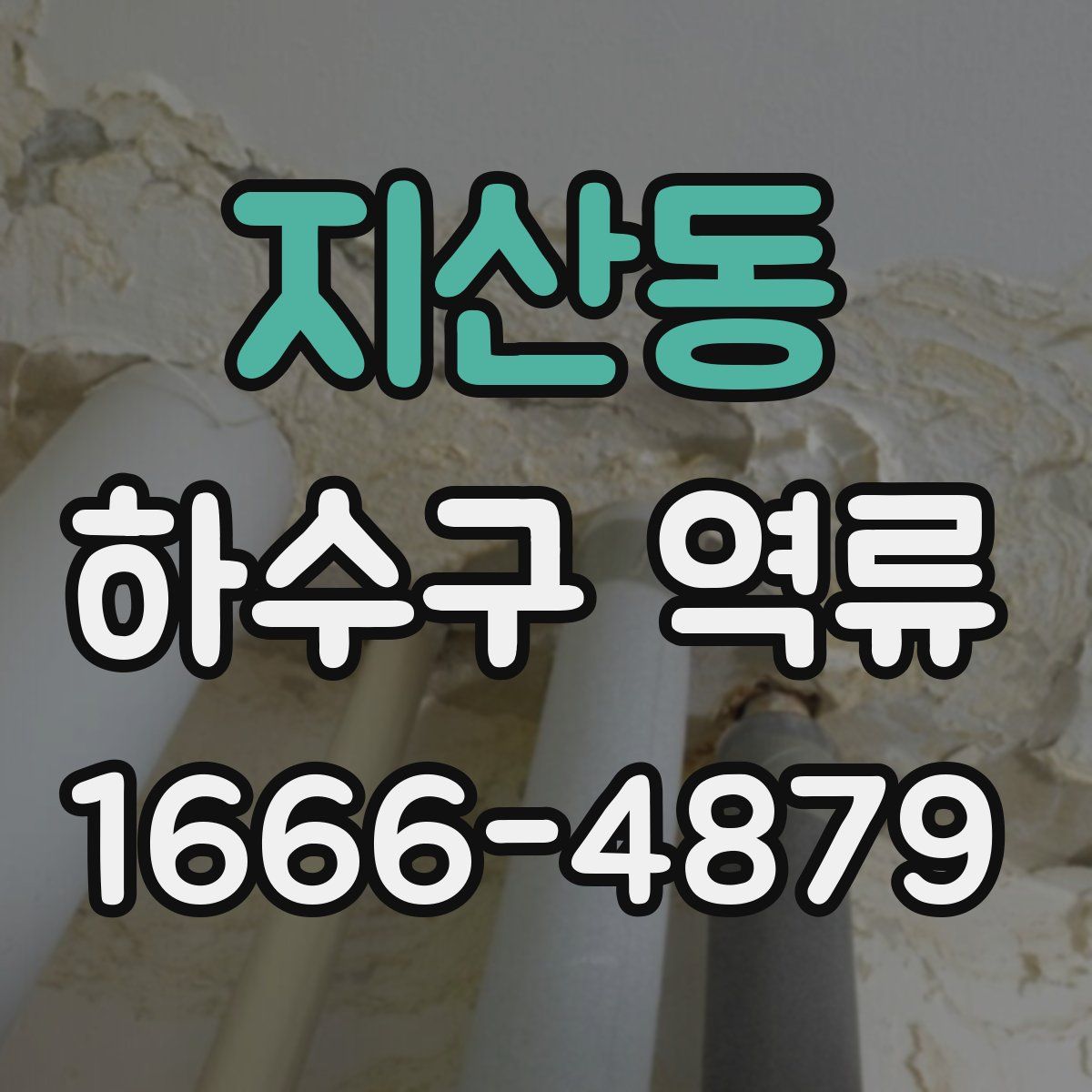 지산동 하수구 역류