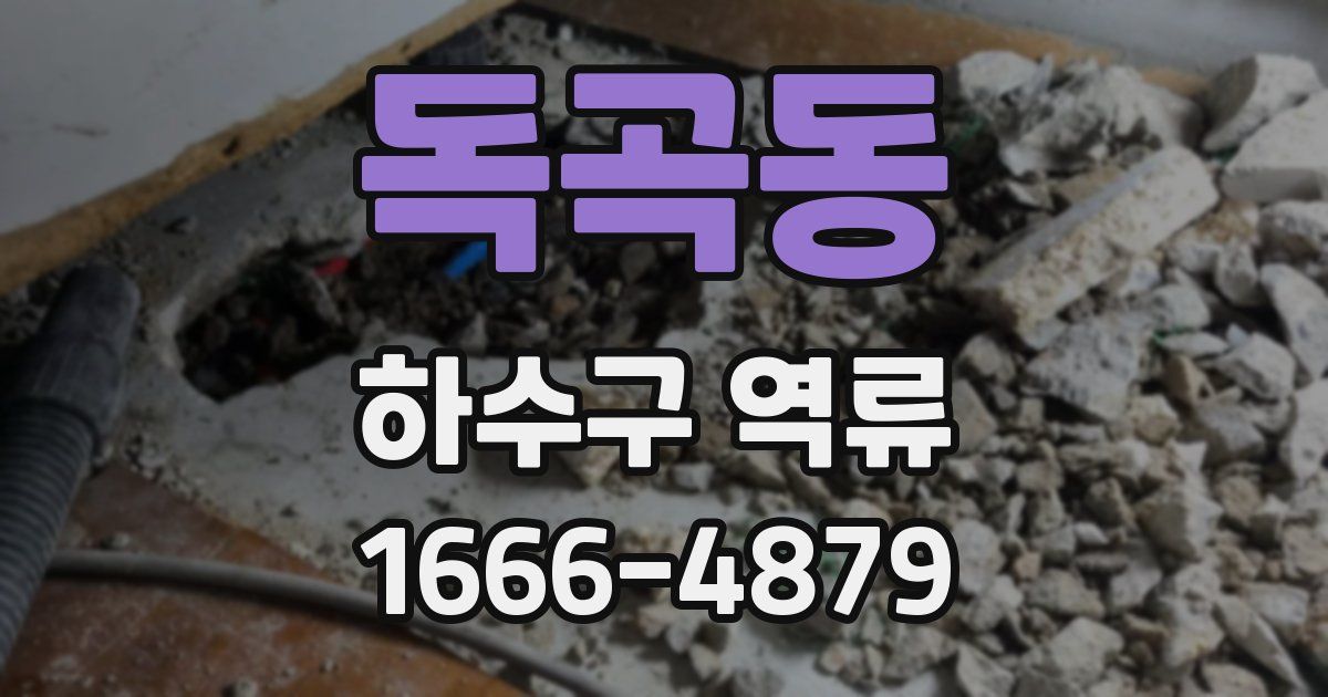 독곡동 하수구 역류